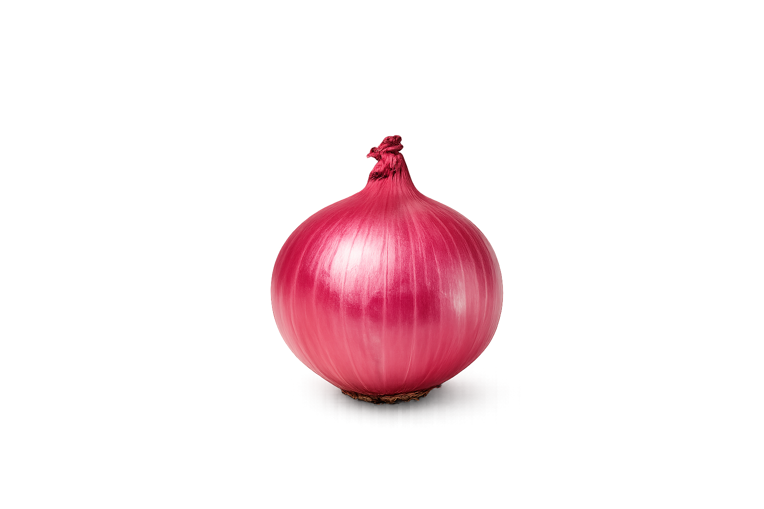 Small red onion under 35 mm